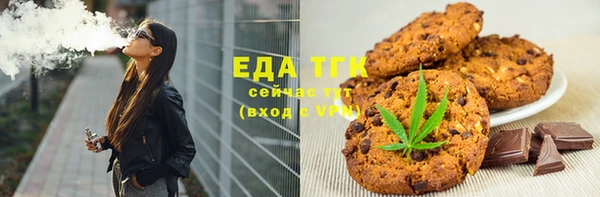 гидра Богородицк
