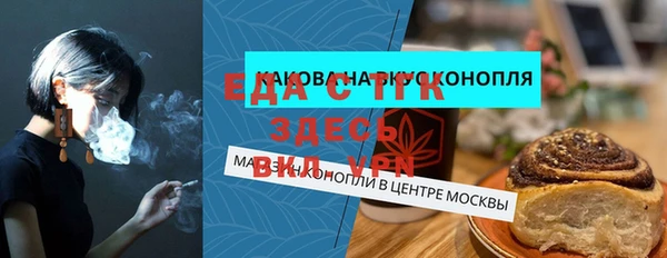гидра Богородицк
