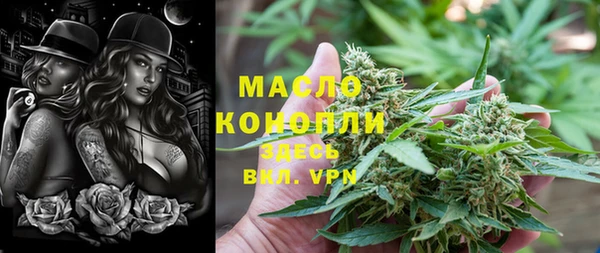 гидра Богородицк