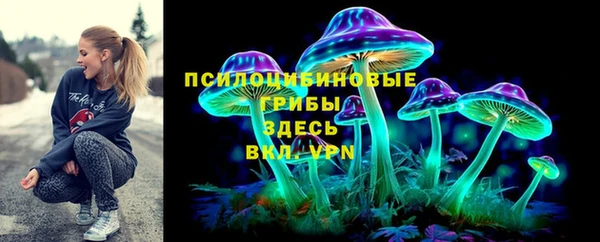 гидра Богородицк
