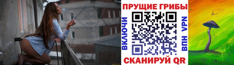как найти закладки  Бахчисарай  Галлюциногенные грибы GOLDEN TEACHER 